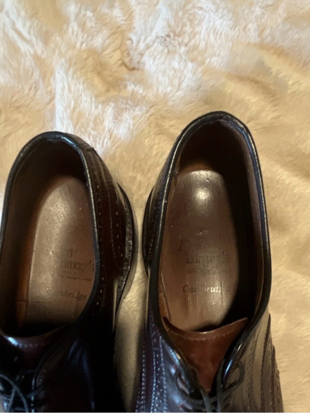 Shell Cordovan Allen Edmonds Men's brown Wingtip Derby - Picture 7 of 7